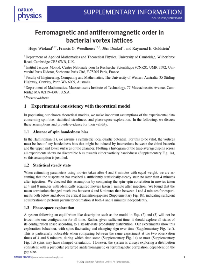 2016 NatPhys BacterialVortexLattices SI | PDF | Physics | Physical Sciences