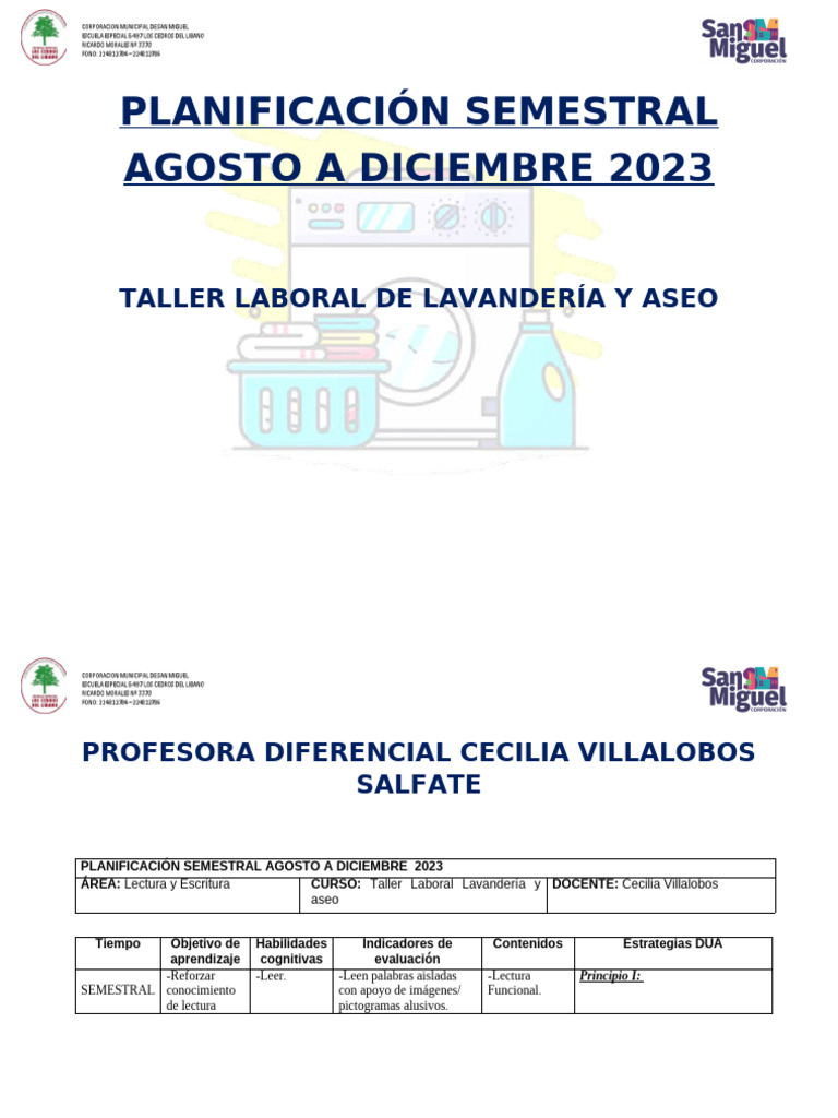 Planificación Semestral Agosto A Dic | PDF | Aprendizaje | Evaluación