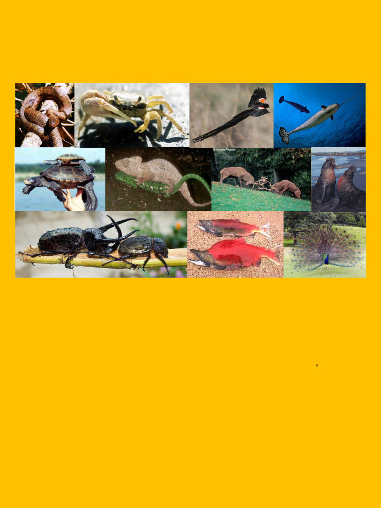 ilovepdf-merged-merged-pdf-eusociality-sexual-selection