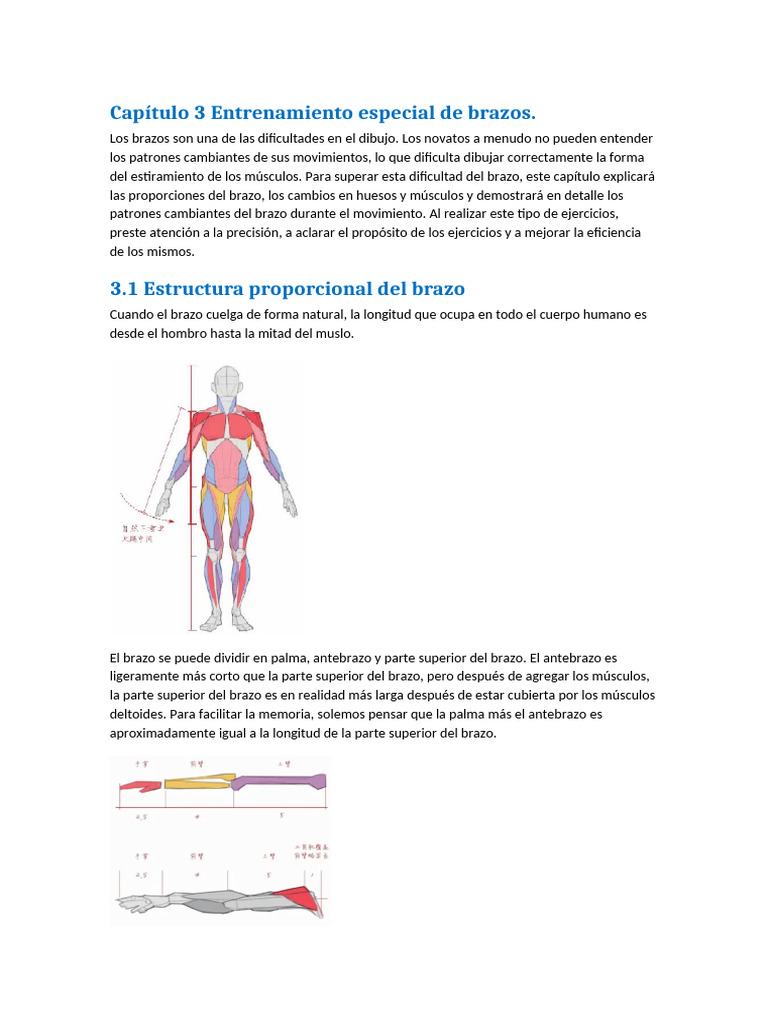 03 Capítulo 3 Entrenamiento Especial de Brazos | PDF | Codo | Hombro