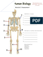 Module 2 Assessment