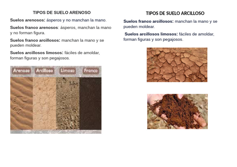 Tipos de Suelo Arenoso | PDF