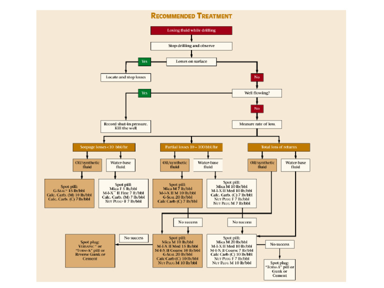 10E1. MI Lost Circulation Flow Chart | PDF