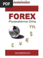 Forex pİyasalarina Giris