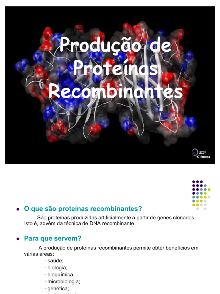 Produção de Proteínas Recombinantes | PDF | Plasmídeo | DNA