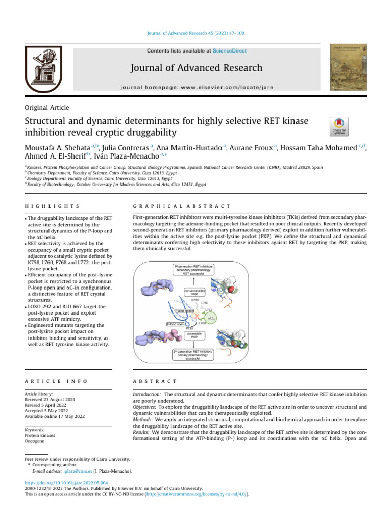 RET | PDF | Active Site | Enzyme Inhibitor