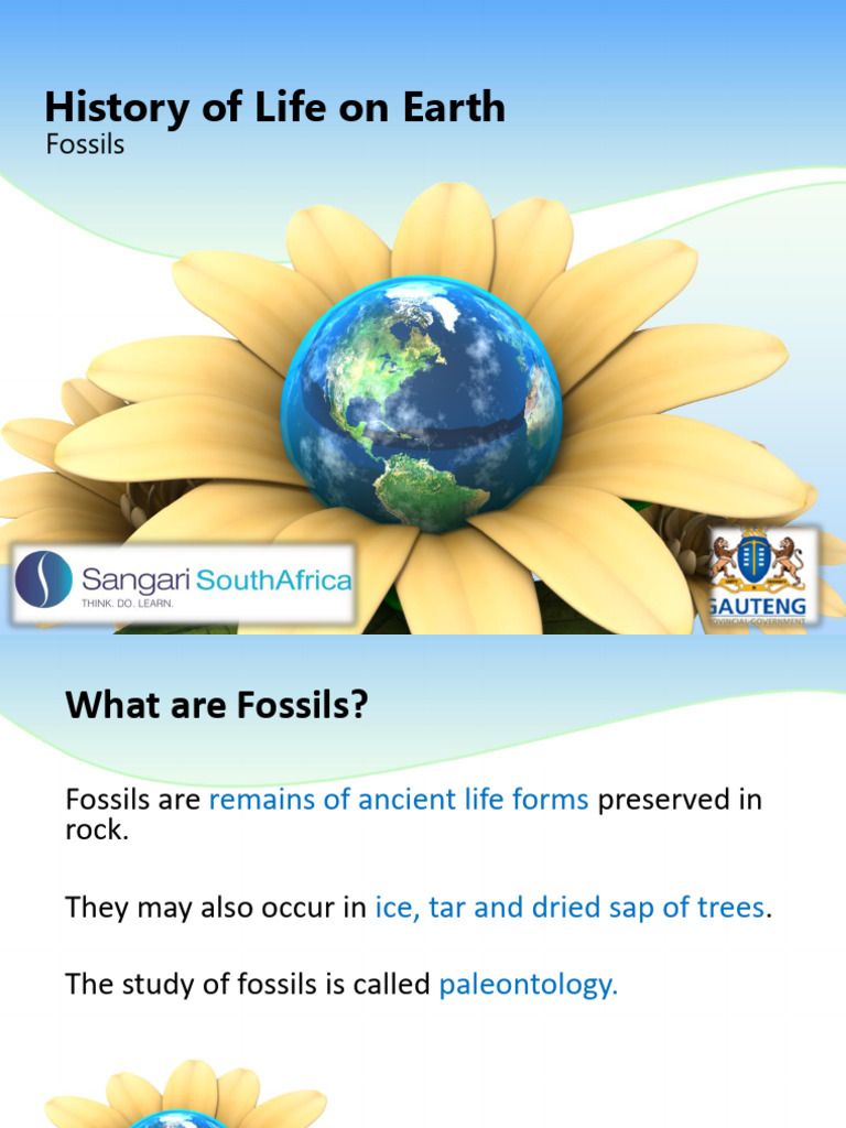 Understanding Fossils and Their Formation | PDF | Fossil | Sedimentary Rock