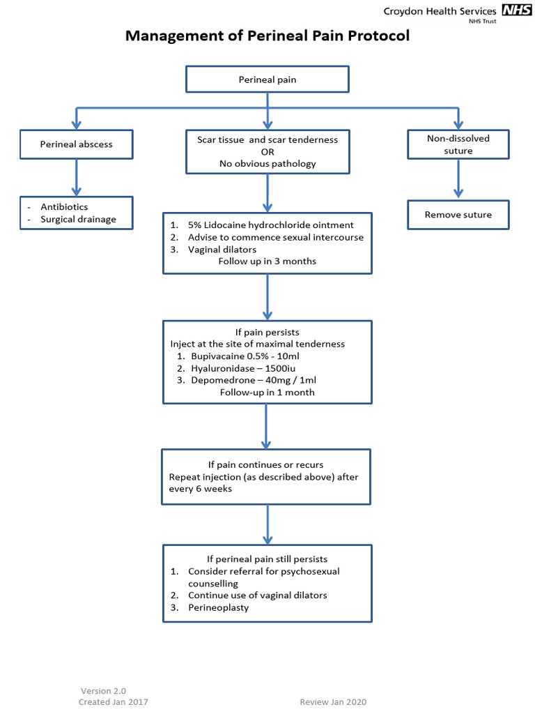 Photo inspiration: Gallery Detail: Perineal Pain Management Protocol