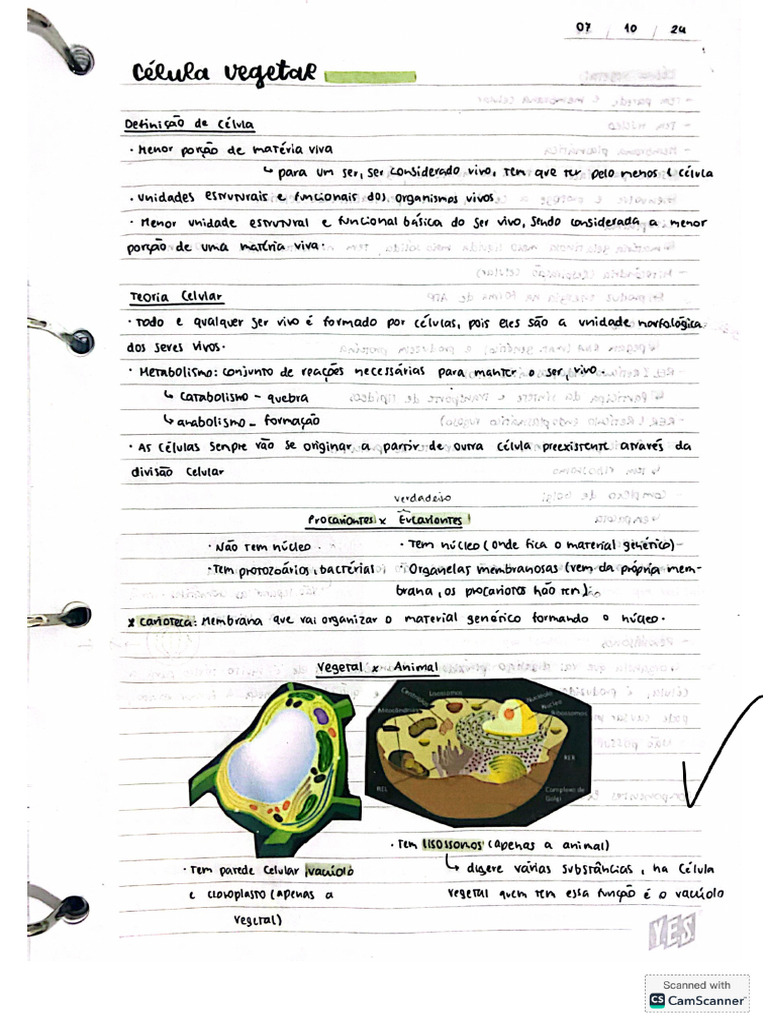 Botanica | PDF