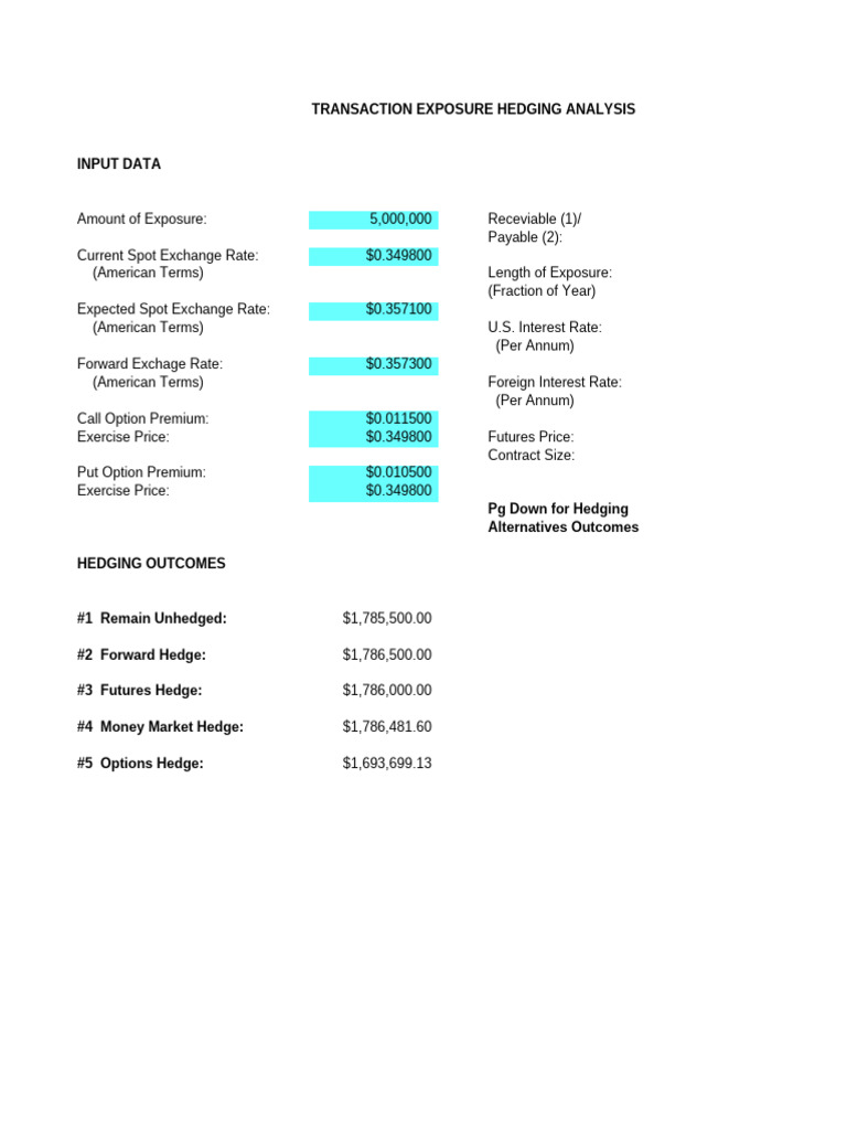 Money Market Hedge Analysis Example | PDF