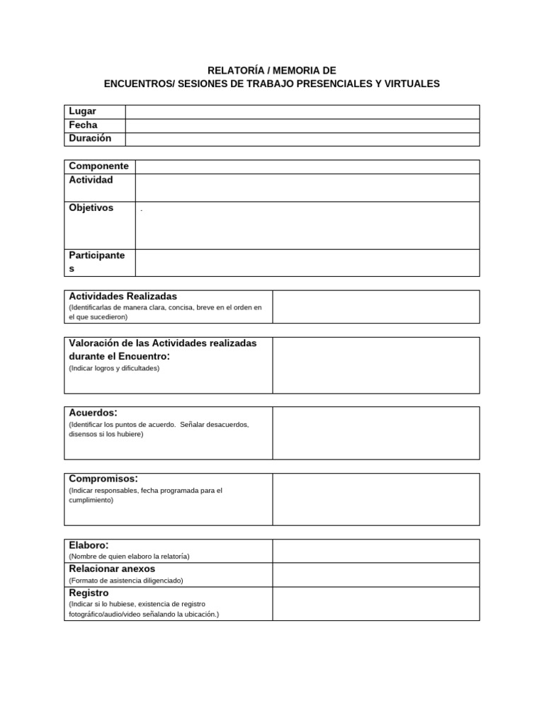 Formato Relatoria | PDF