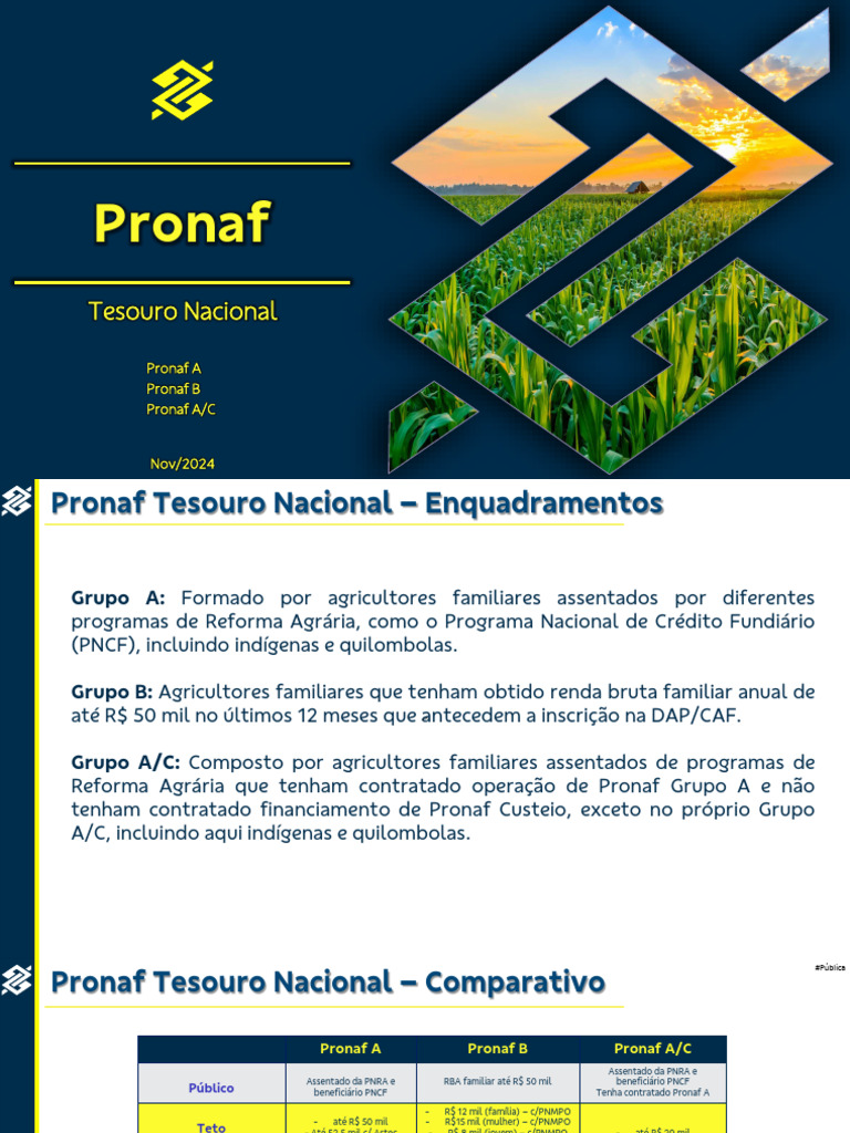 Condições do Pronaf para Agricultores | PDF | Crédito | Finanças e ...