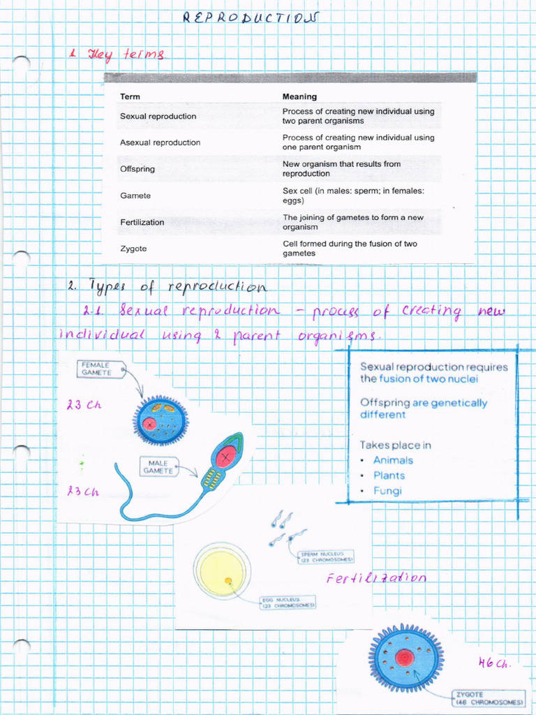 REPRODUCTION All | PDF | Sexual Reproduction | Reproduction