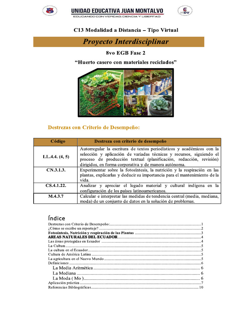 Proyecto 8vo EGB-c13 - Compressed | PDF