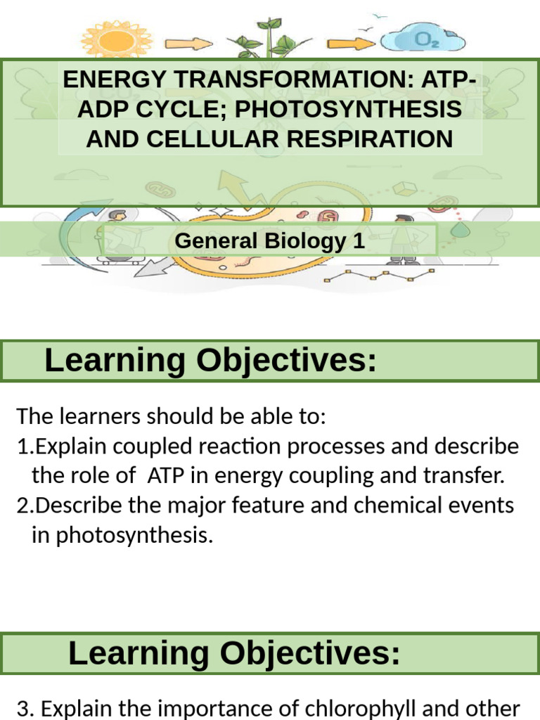 Lesson 10 Energy Transformation ATP ADP Cycle | PDF | Adenosine ...