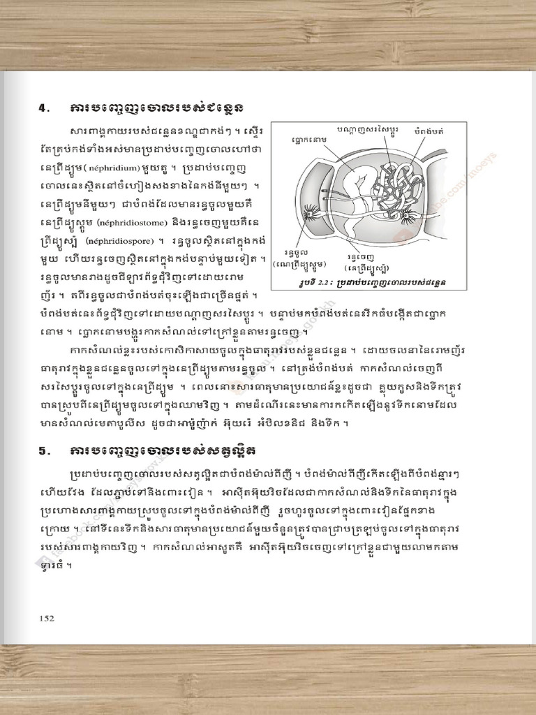 Biology Grade 11 Pdf