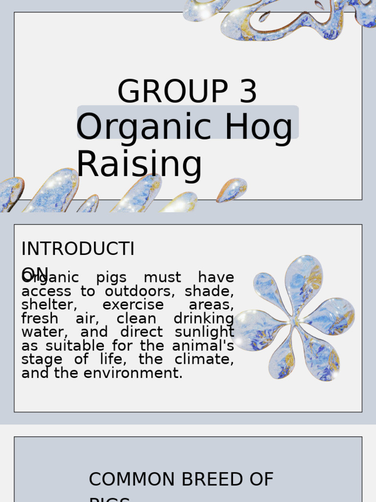 Organic Hog Raising Guide: Breeds & Care | PDF | Pig | Weaning