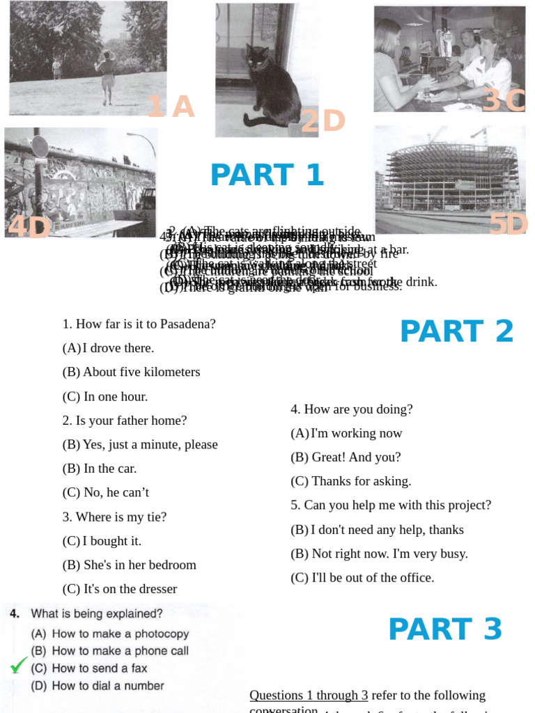 MINI TEST | PDF