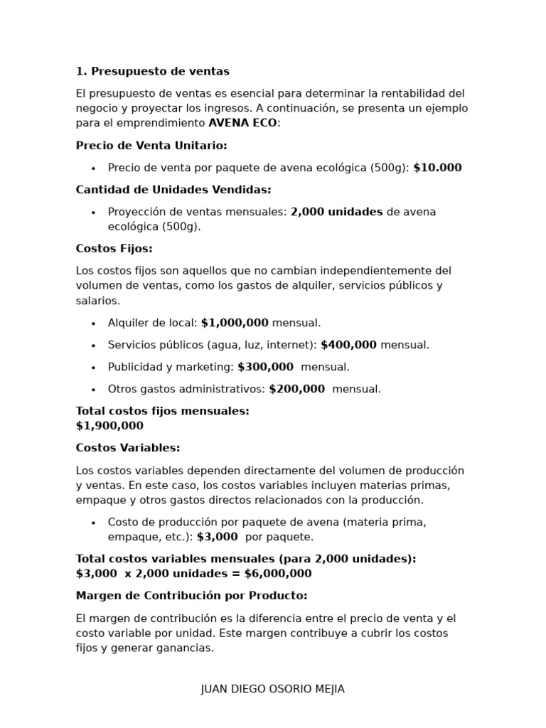 Presupuesto y Plan de Negocio AVENA ECO | PDF | Presupuesto | Economias