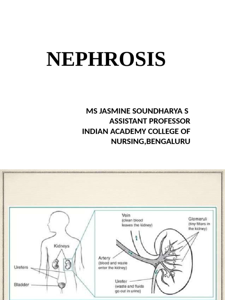Nephrosis | PDF
