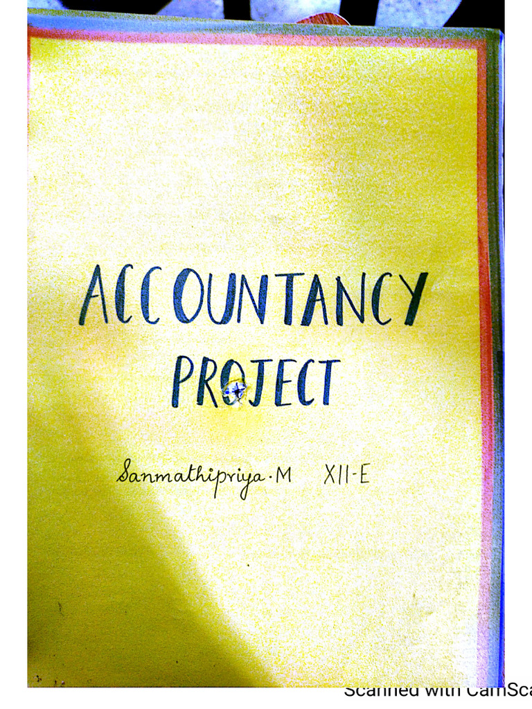 12 Accountancy Specific Project | PDF