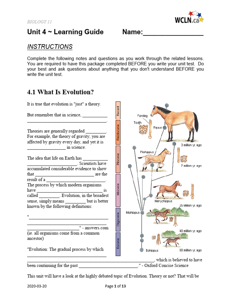 Evolution Theory Learning Guide | PDF | Evolution | Fossil