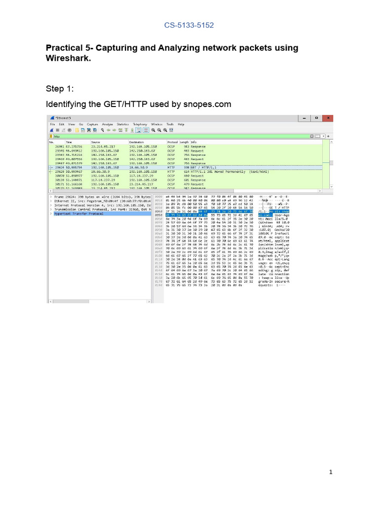 Wireshark Packet Capture Guide | PDF