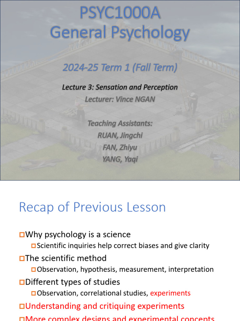 03 - Sensation and Perception | PDF | Visual System | Hearing