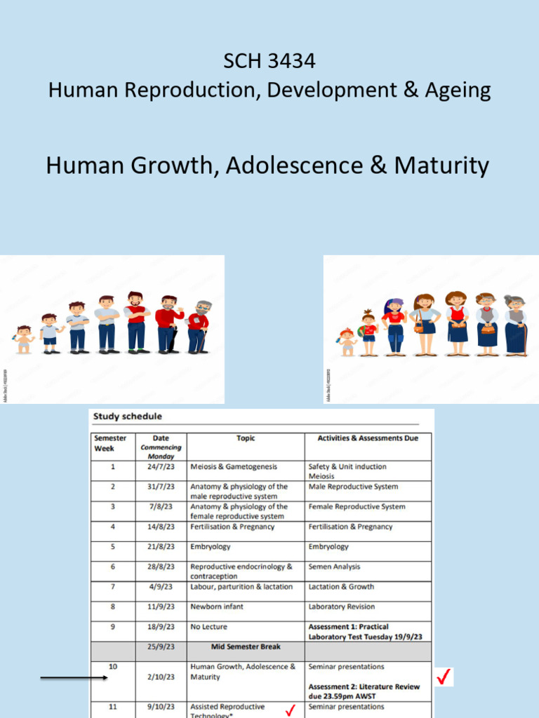 Human Growth and Development Overview | PDF | Puberty | Luteinizing Hormone