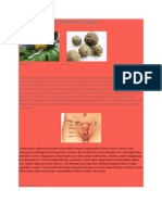 Download HerbalProbiotikUntukPerawatanVaginabypakdejongkoSN80295927 doc pdf