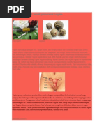 Download HerbalProbiotikUntukPerawatanVaginabypakdejongkoSN80295927 doc pdf