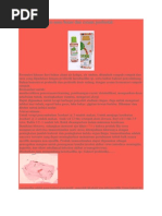 Download Pembuatan Sabun Susu Beras Dan Cream Probiotik by pakde jongko SN80296090 doc pdf