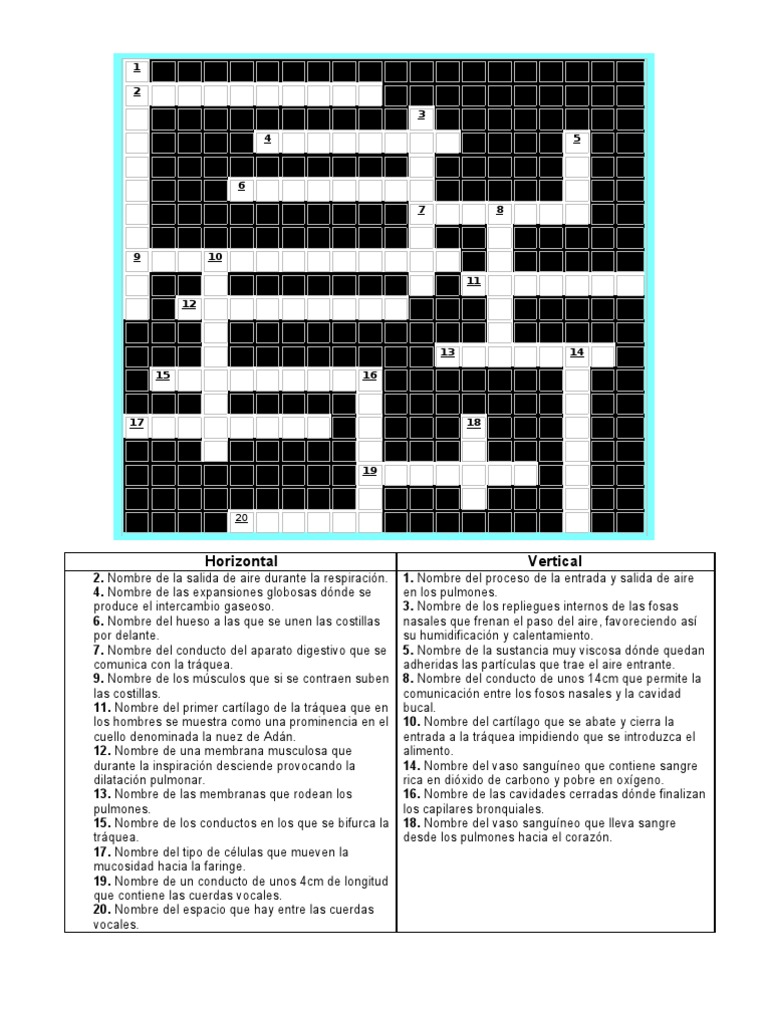 Resultado de imagen para CRUCIGRAMA MUDO SOBRE EL TEMA DEL CANCER DE PULMON