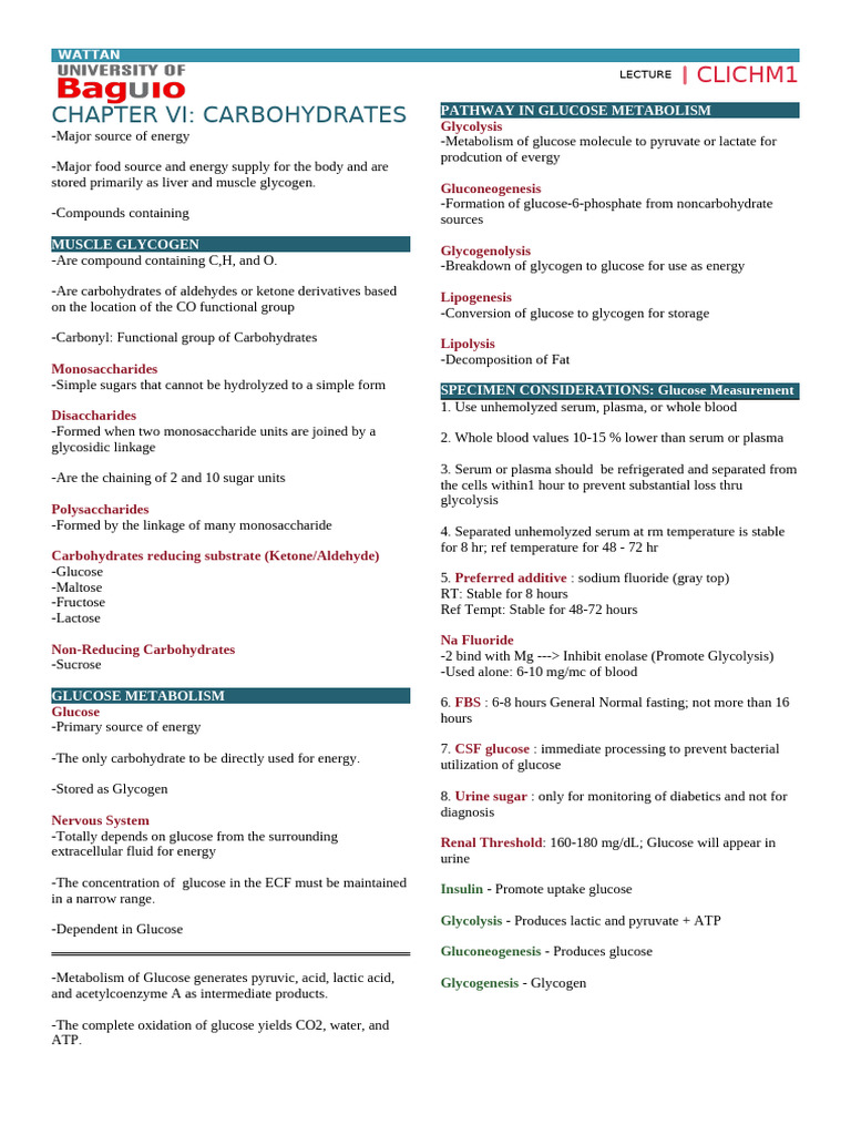 Carbohydrates and Glucose Metabolism Overview | PDF | Glucose ...