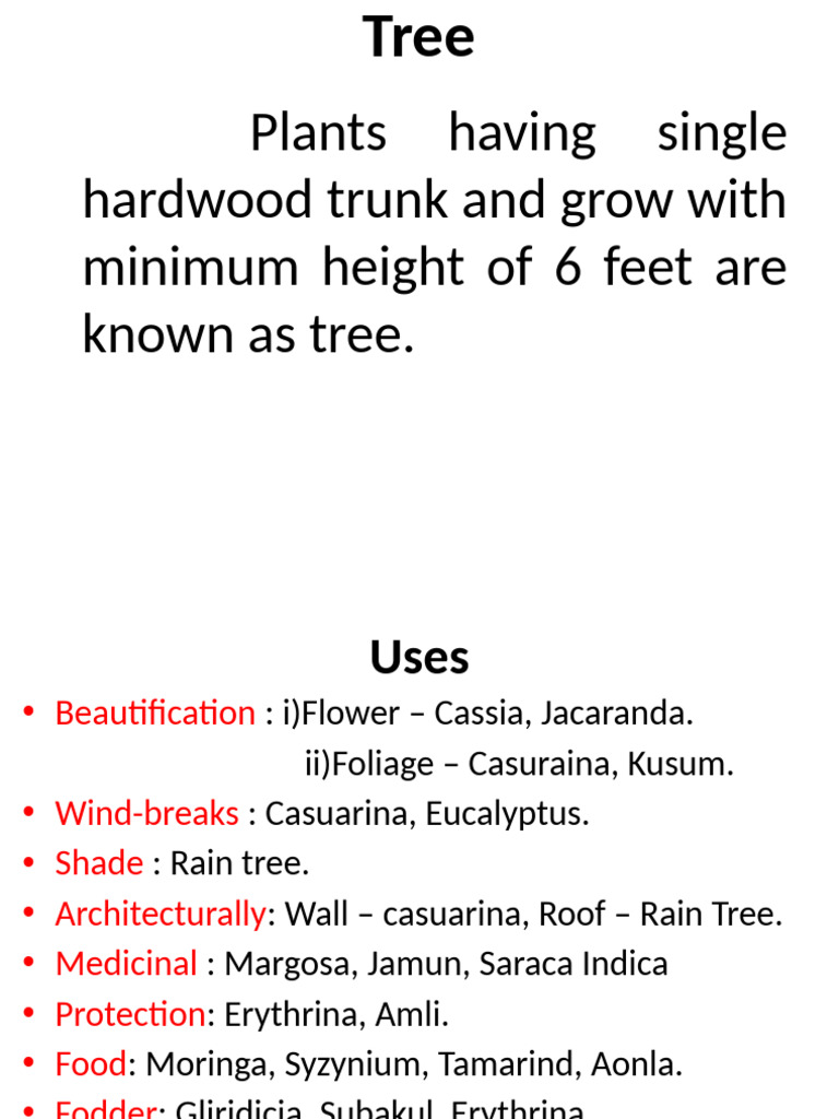 7 - Trees | PDF | Trees | Plants