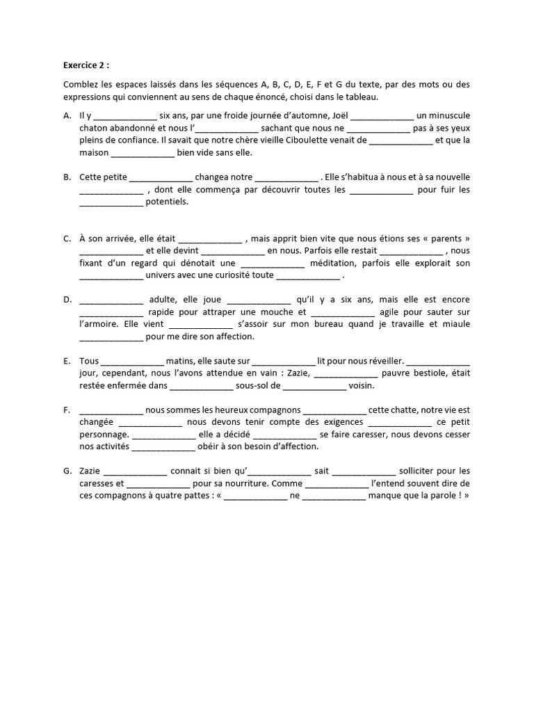 Exercice 2 GEMINI Français | PDF