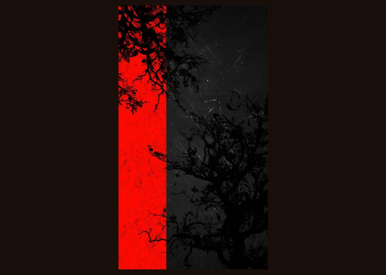 Black and Red Color Studies | PDF