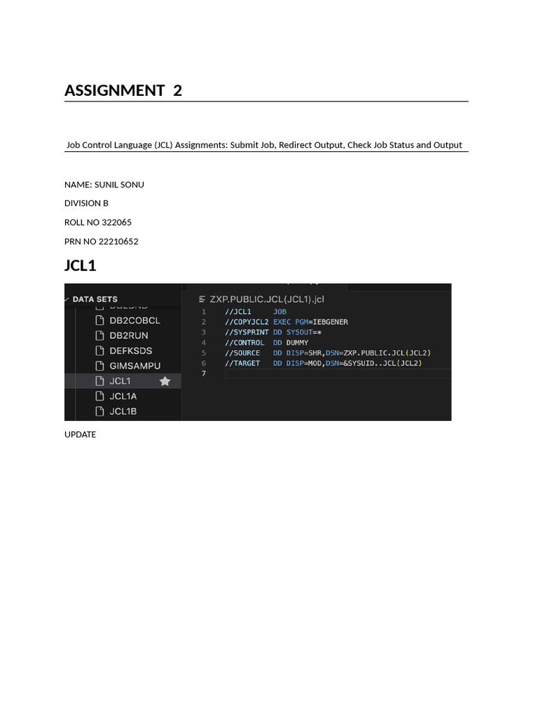JCL Assignment: Job Submission & Updates | PDF