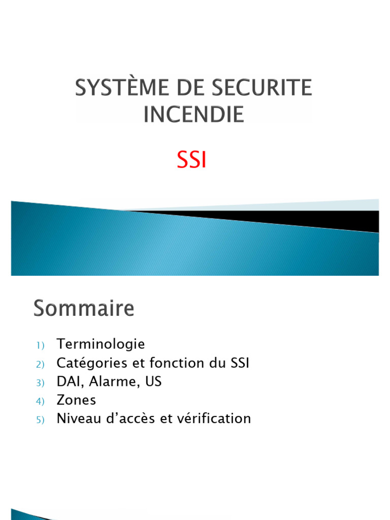 Catégories et fonctionnement du SSI | PDF