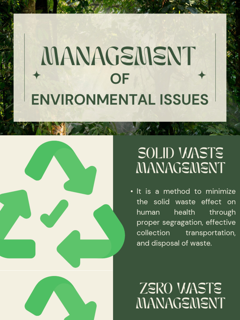 Management of Environmental Issues | PDF