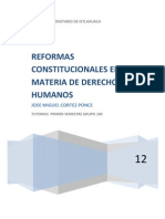 Reformas Constitucionales en Materia de Derechos Humanos Miguel