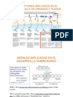 1 Enfermedad Gen Â Â Etica Parte 3