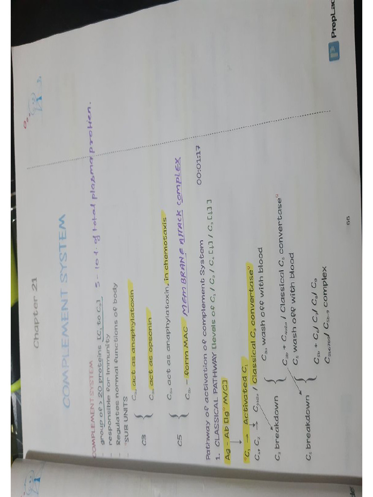 Complement System | PDF