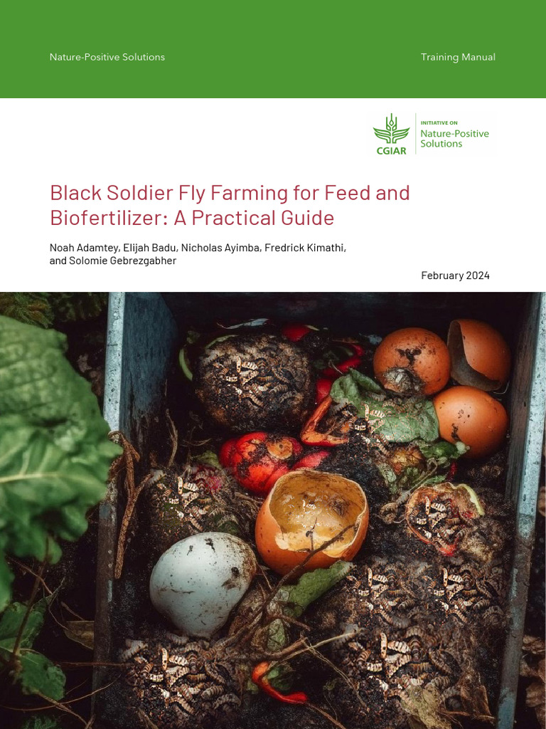 Black Soldier Fly Farming Guide 2024 | PDF | Agriculture