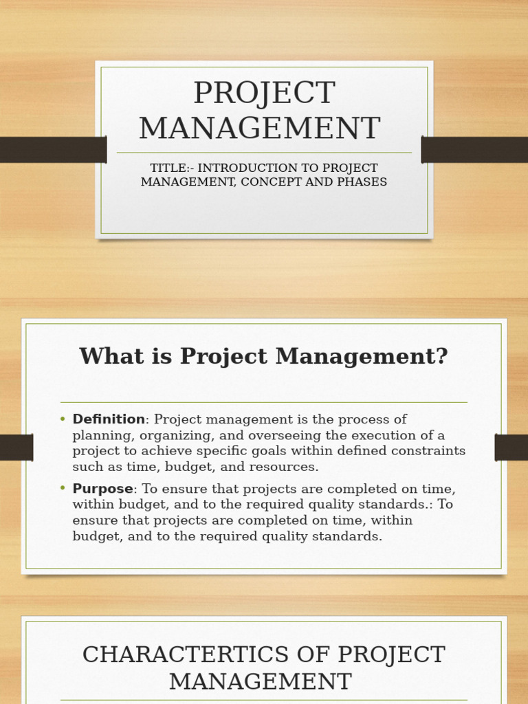 Project Management Basics: Phases & Skills | PDF