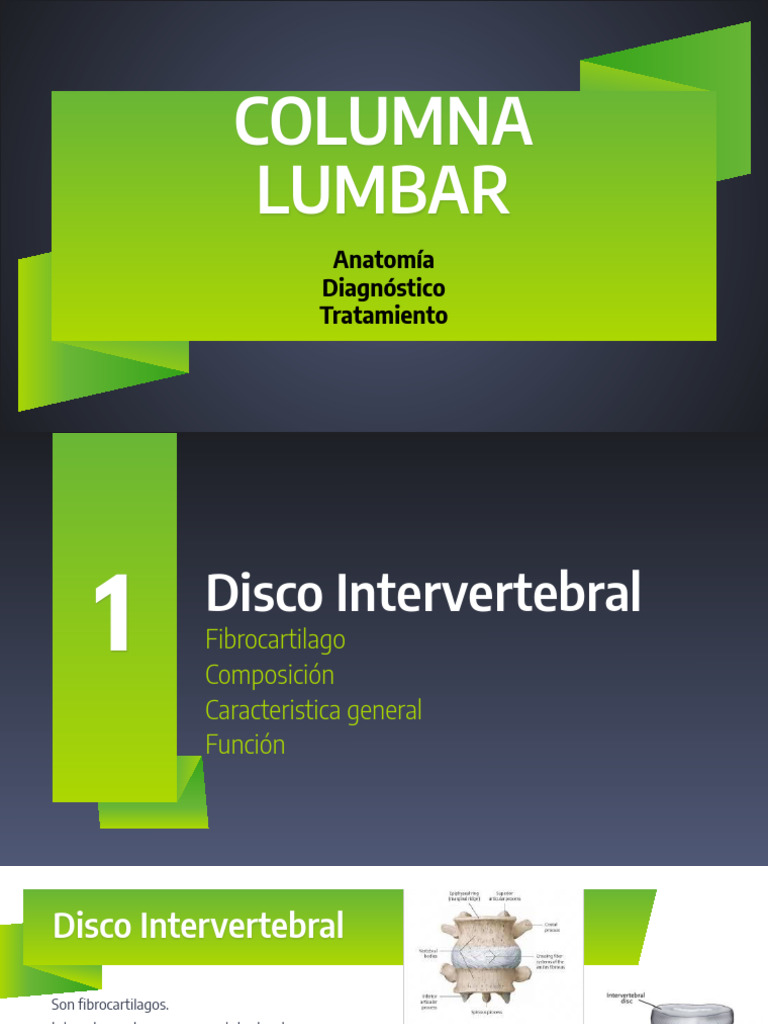 Columna Lumbar | PDF | La columna vertebral | Anatomía humana