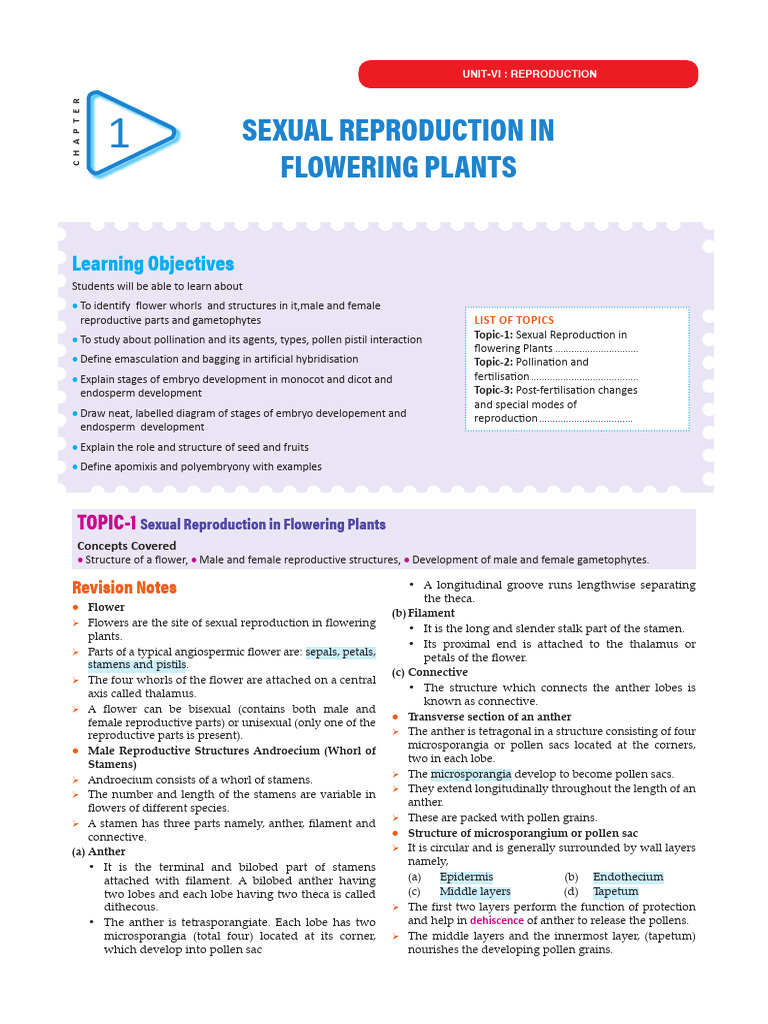 Sexual Reproduction in Flowering Plants | PDF | Flowers | Pollination
