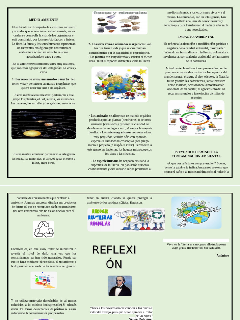 Triptico Del Medio Ambiente 2 | PDF | Entorno natural | Vida