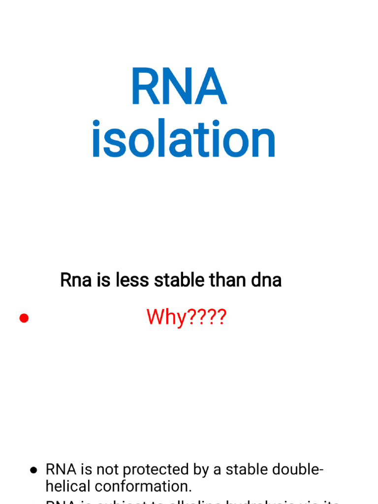 3-RNA Isolation | PDF