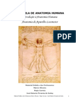 Apostila I - Introdução A Anatomia e Aparelho Locomotor